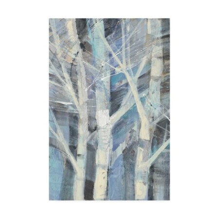 Trademark Fine Art Albena Hristova 'Winter Birches I' Canvas Art, 12x19 WAP10641-C1219GG